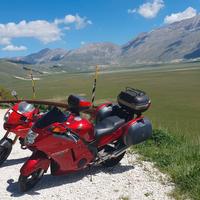 Honda CBR 1100 XX - 1998