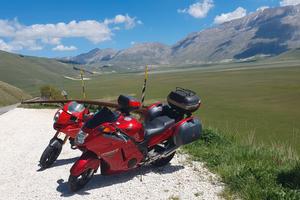 Honda CBR 1100 XX - 1998