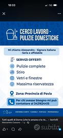 Pulizie domestiche e assistenza anziani