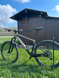 Focus raven 8.9 2024 Carbon Top di Gamma