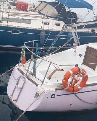 barca a vela alpa 740
