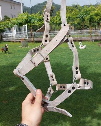 Cavezza in cuoio Rinforzata 