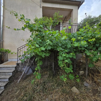 Circa 4 ettari di terreno + abitazione