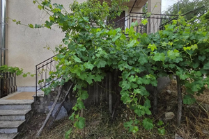 Circa 4 ettari di terreno + abitazione