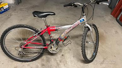 Bicicletta da bambino