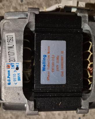 Motore lavatrice Welling 195v. 310Hz. yxt320-2 (L)