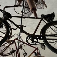 Antica Bicicletta Panettiere