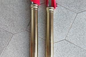 forcelle showa CRF 250 2021