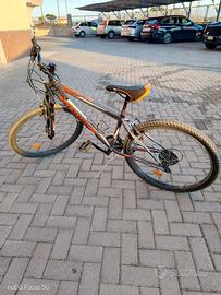 Bicicletta