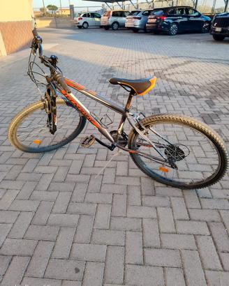 Bicicletta