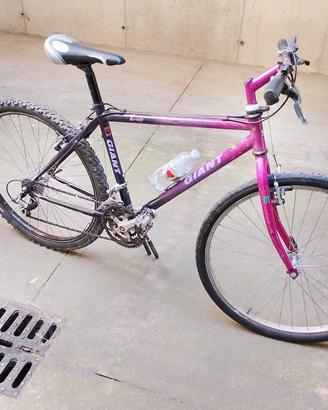 Bianchi nuova 26 uomo 