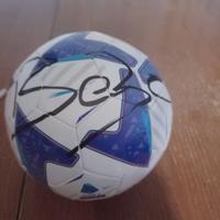 Mini pallone serie A autografo Vieri