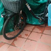 bicicletta elettrica 