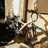 Bici pedalata assistita