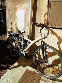 Bici pedalata assistita