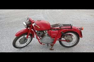 Lodola 235