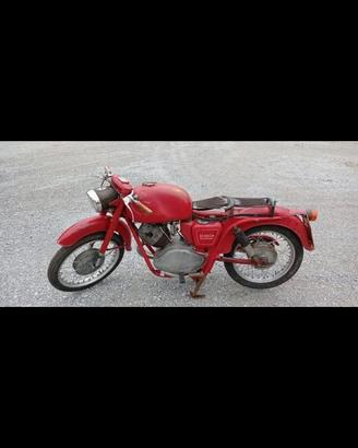 Lodola 235