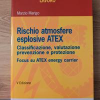 Rischio atmosfere esplosive ATEX