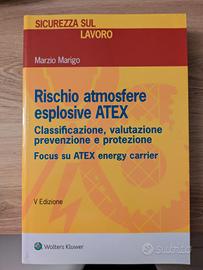 Rischio atmosfere esplosive ATEX