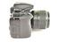 Immagine 7