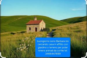 Rustico casa modesta