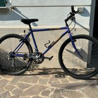 Mountain Bike Specialized