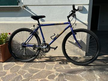 Mountain Bike Specialized
