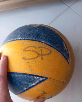 palla volleyball five