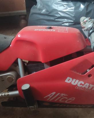 minimoto ducati