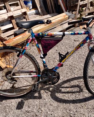 mountain bike