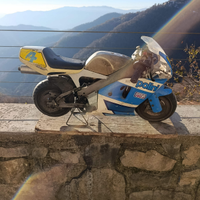 Minimoto Polini 910 Utah h2o