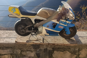 Minimoto Polini 910 Utah h2o
