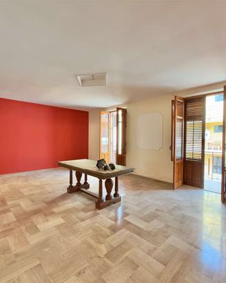 ampio appartamento con terrazzo