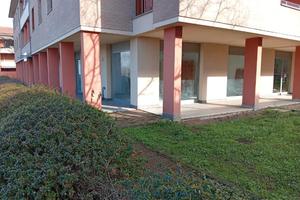 NEGOZIO A LANGHIRANO