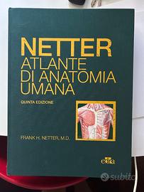 Medicina Netter Atlante Anatomia  + Guida Uni