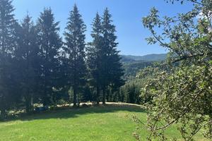 Casa in montagna Abetone