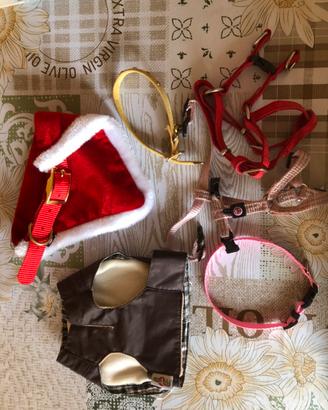 Accessori x cani