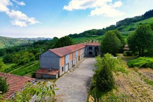 CASCINALE INDIPENDENTE CON NOCCIOLETI E BOSCHI