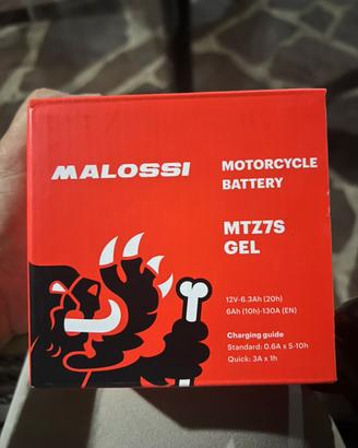 Batteria moto/scooter