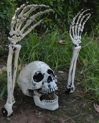 Scheletro Halloween - Stile Art Deco - Decorazione