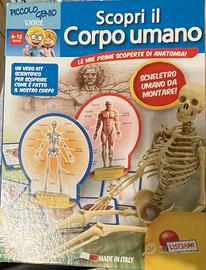 Scopri il corpo umano - Scheletro da montare