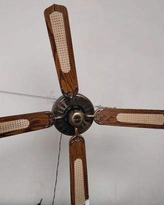 ventilatore a pale