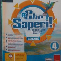 Che saperi 4