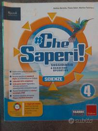 Che saperi 4