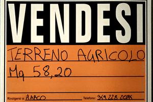 TERRENO AGRICOLO