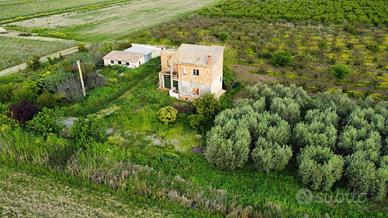 Terreno per coltivazione frutti