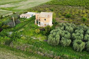 Terreno per coltivazione frutti