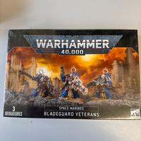 Warhammer  space marines bladeguard veterans