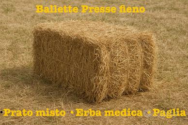 Ballette Presse Fieno