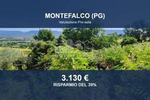 Immobile in asta di 5380 m² a Montefalco